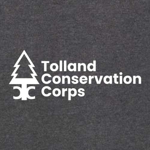 Hanes 7.8 Oz., 50/50 Comfort Blend Fleece Pullover Hood Adult -- Charcoal Heather