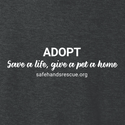 District Made Ladies Perfect Tri V-Neck Tee -- Black Frost