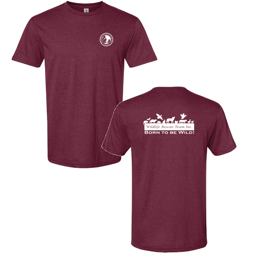 Gildan Softstyle CVC Tee -- Maroon Mist