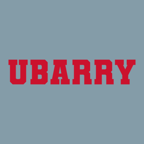 Men's Heavyweight Tee -- Vintage Denim UBARRY