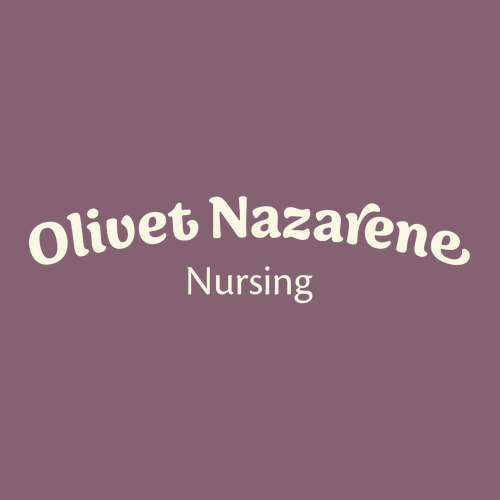 Comfort Colors Ringspun Garment Dyed T Shirt -- Berry