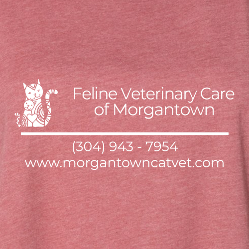 Bella+Canvas Unisex Heather Cvc Long Sleeve Tee- Heathers -- Heather Mauve