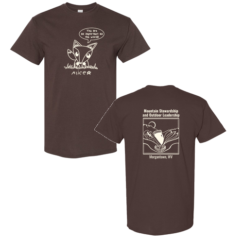 Gildan Heavy Cotton Basic T-Shirt -- Dark Chocolate