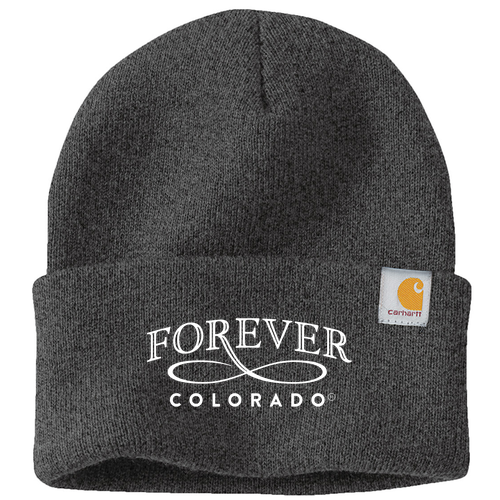 Carhartt Watch Hat 2.0 -- Coal Heather