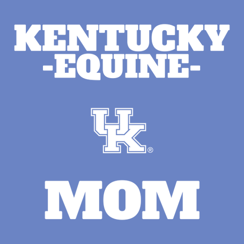 Comfort Colors Heavyweight Adult T-Shirt -- Flo Blue MOM