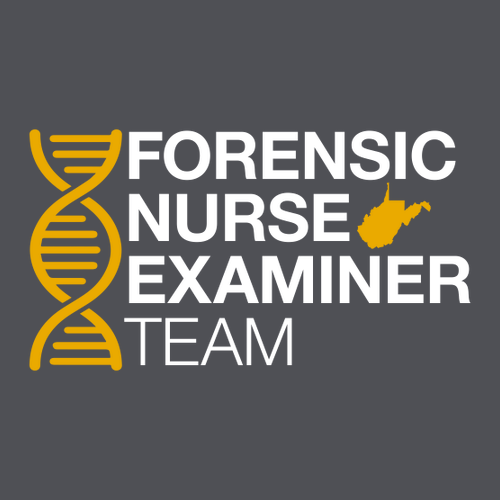 Gildan Softstyle Longsleeve T Shirt -- Charcoal