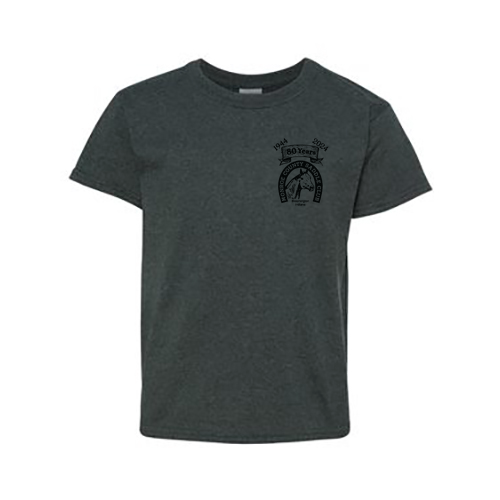 Gildan Heavy Cotton Basic Youth T-Shirt -- Dark Heather