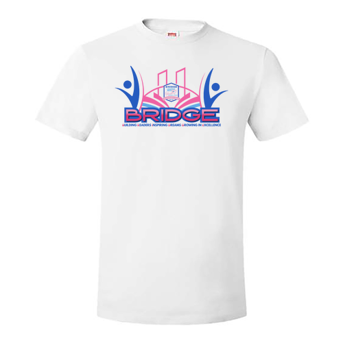 Hanes Perfect-T Ring Spun T-Shirt -- White