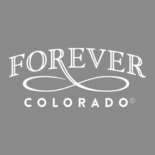 Carhartt Sherpa-Lined Mock Neck Vest -- Gravel