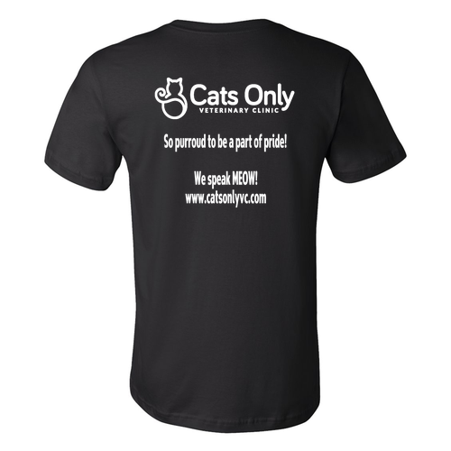 Bella Canvas Unisex Jersey T-Shirt -- Black