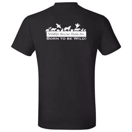 Hanes Perfect-T Ring Spun T-Shirt -- Black