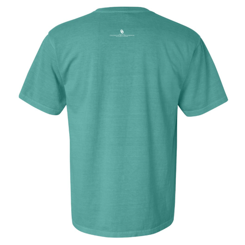 Comfort Colors Ringspun Garment Dyed T Shirt -- Sea Foam