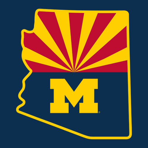 Gildan Softstyle Fitted Longsleeve T Shirt -- Navy, State Flag