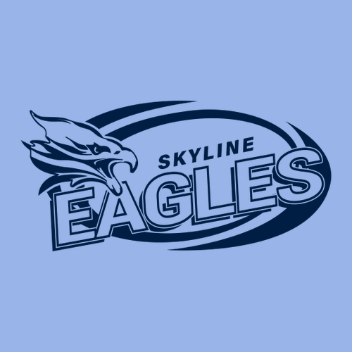 Gildan Full Zip Hooded Sweatshirt -- Carolina Blue