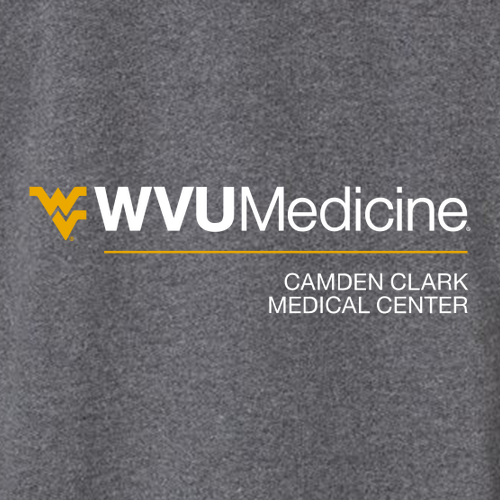 Charles River Mens Heathered Fleece Pullover -- Charcoal Heather