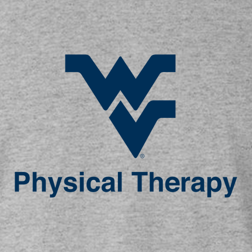 Gildan Ultra Cotton Basic T-Shirt -- Sport Grey