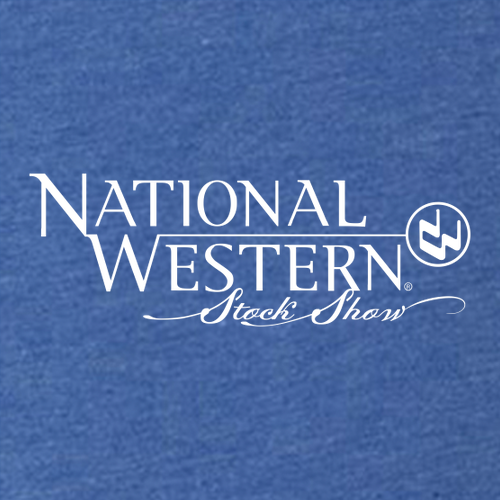 Next Level Apparel Ladies Tri Blend Crew -- Vintage Royal