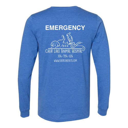 Bella+Canvas Unisex Heather Cvc Long Sleeve Tee- Heathers -- Heather True Royal