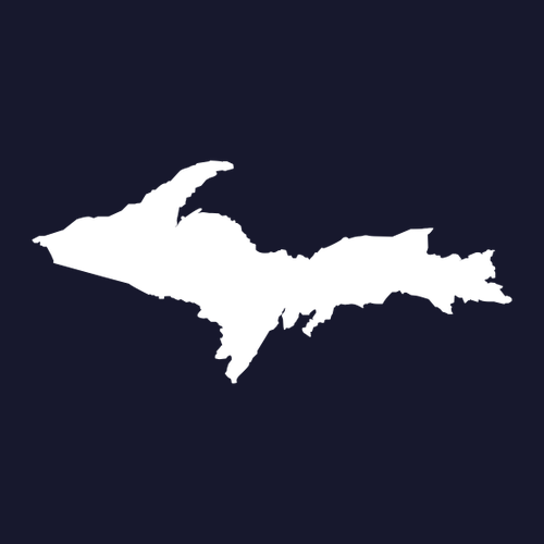 Champion Reverse Weave Crewneck Sweatshirt -- Navy