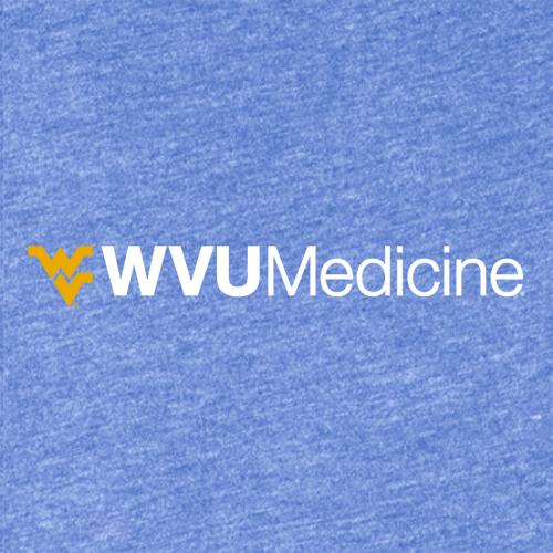 District Made Mens Perfect Tri Crew Tee -- Royal Frost