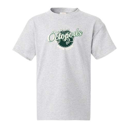 Youth Hanes 6 oz. Authentic-T T-Shirt -- Ash
