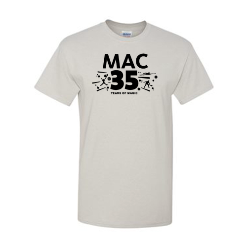 Gildan Heavy Cotton Basic T-Shirt -- Ice Grey