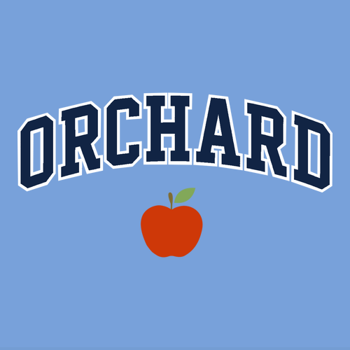 Gildan Heavy Cotton Carolina Blue T-Shirt