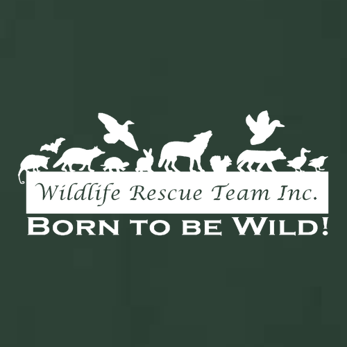 J America Unisex BTB Fleece Hooded Sweatshirt -- Forest Green