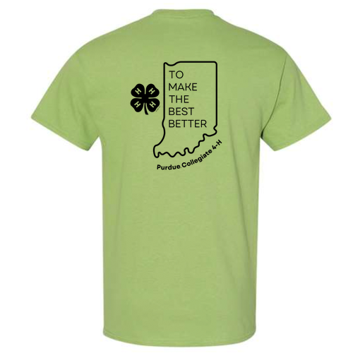 Gildan Heavy Cotton Basic T-Shirt -- Kiwi