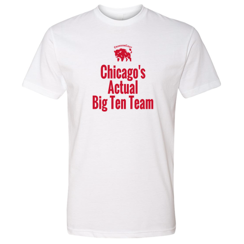 Next Level Mens CVC Crew -- White