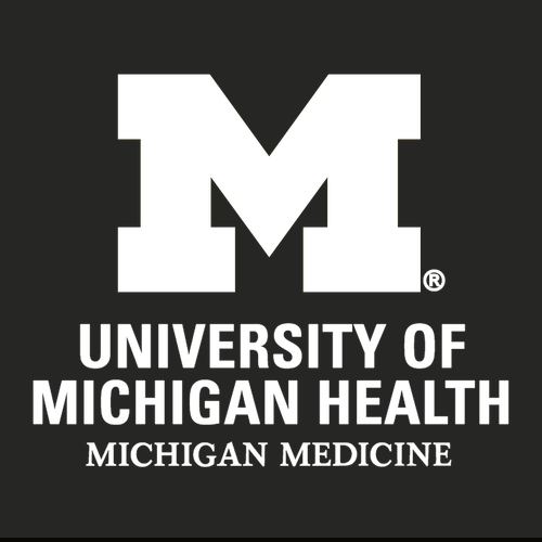 Gildan Ultra Cotton Longsleeve Basic T-Shirt -- Black