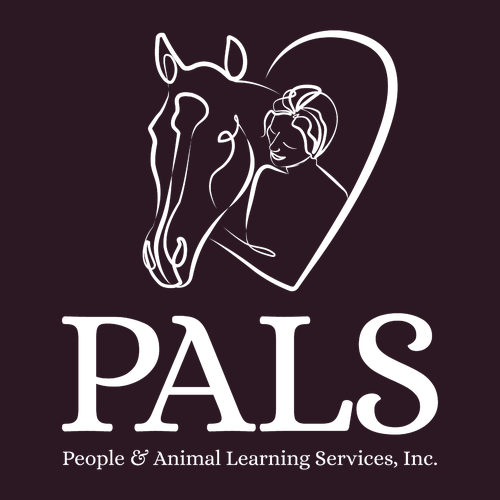 PALS Homecoming Shirts -- Oxblood Black