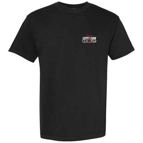 Comfort Colors Garment-Dyed Heavyweight T-Shirt -- Black