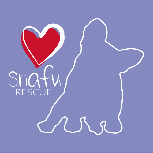 Comfort Colors Heavyweight Adult T-Shirt -- Violet