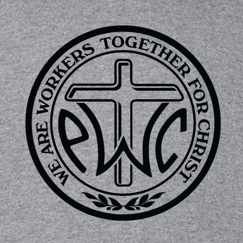 Gildan SoftStyle Fitted T-Shirt -- Graphite Heather