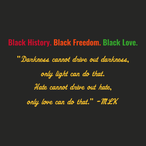 Gildan SoftStyle T-Shirt -- Black