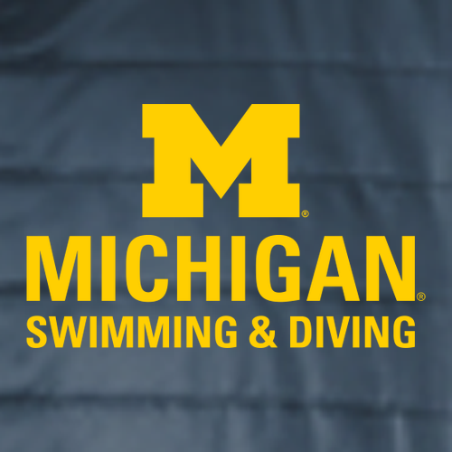 Ladies Port Authority Packable Puffy Vest -- Regatta Blue / River Blue Navy