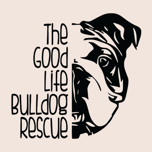 Good Life Bulldog Rescue Tee -- Creme