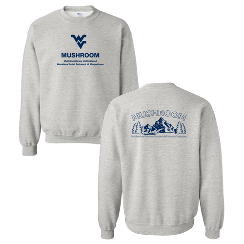 Gildan Heavy Blend Crew Neck Sweatshirt -- Ash