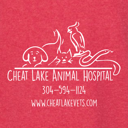 Hanes 7.8 Oz., 50/50 Comfort Blend Fleece Pullover Hood Adult -- Heather Red