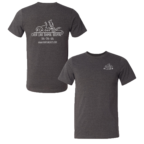 Bella Canvas Unisex Heather CVC T-Shirt -- Dark Grey Heather