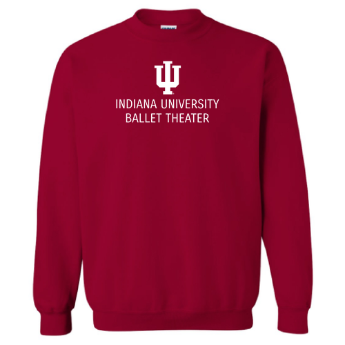 IUBT- Embroidered Crewneck