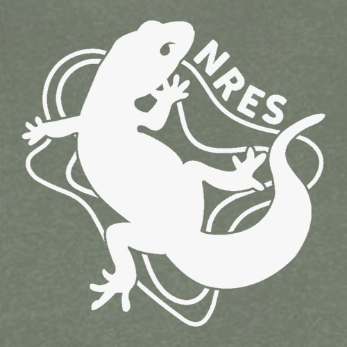 Comfort Colors Short Sleeve Pocket Tee -- Moss