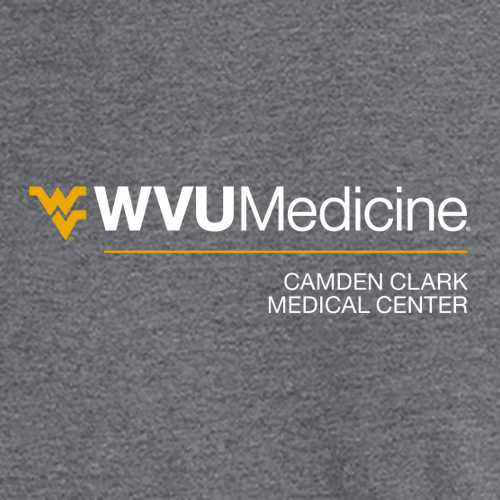 Gildan Heavy Cotton Longsleeve Basic T-Shirt -- Graphite Heather