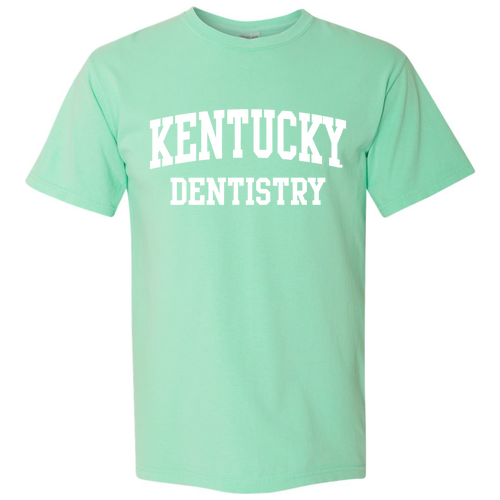 Comfort Colors Ringspun Garment Dyed T Shirt -- Island Reef