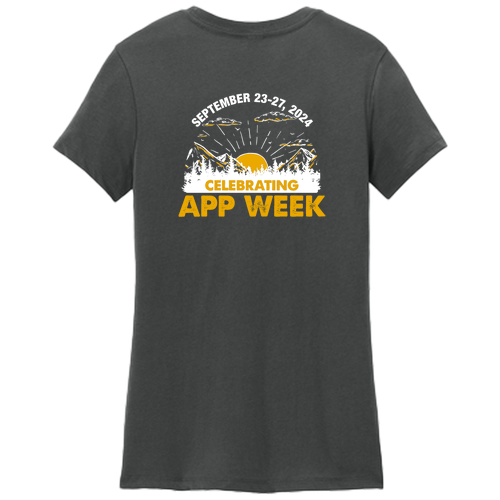 District Made Ladies Perfect Weight Crew Tee -- Charcoal