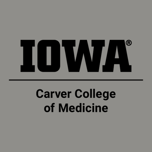 Comfort Colors Adult Long Sleeve Pocket Tee -- Grey