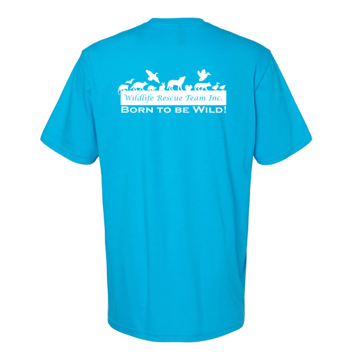 Gildan Softstyle CVC Tee -- Caribbean Mist