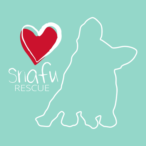 Comfort Colors Ringspun Long Sleeve Tee -- Chalky Mint