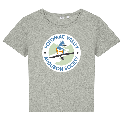 Stanley/Stella Women’s Stella Serena Scoop Neck Tee -- Heather Grey